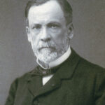 杉田 玄白 の名言集 名言まとめドットコム 名言まとめドットコム